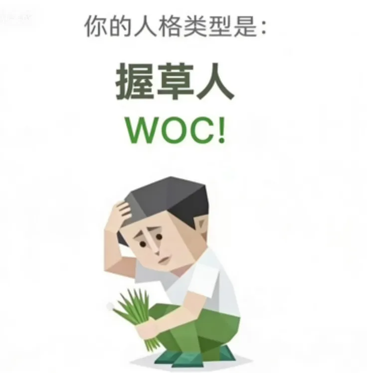WOC!（握草人）人格海报